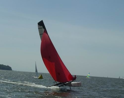 2009hobietiger