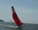 2009hobietiger