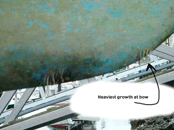 bowgrowth
