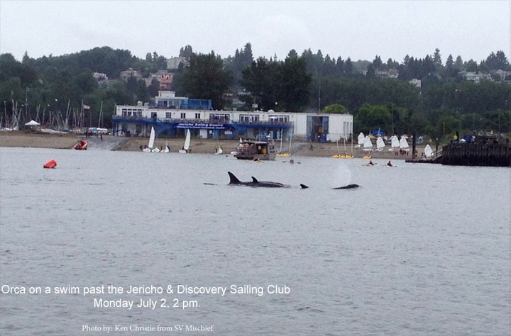 Eco Kayak Orcas at Discovery Club