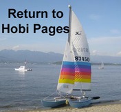 returnToHobiPages