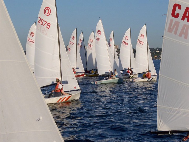 Tasar Race Start